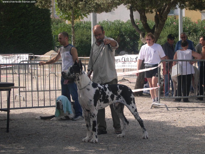 Triumph dit tael Des terres de brandon