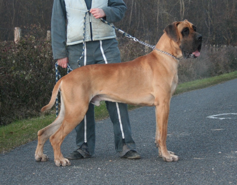 Clyde du Petit Monterac