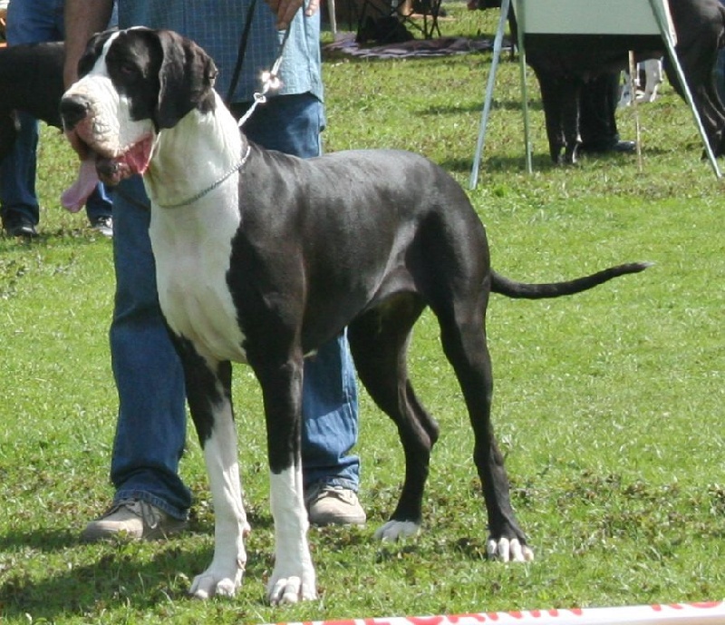 Brigitte du Petit Monterac