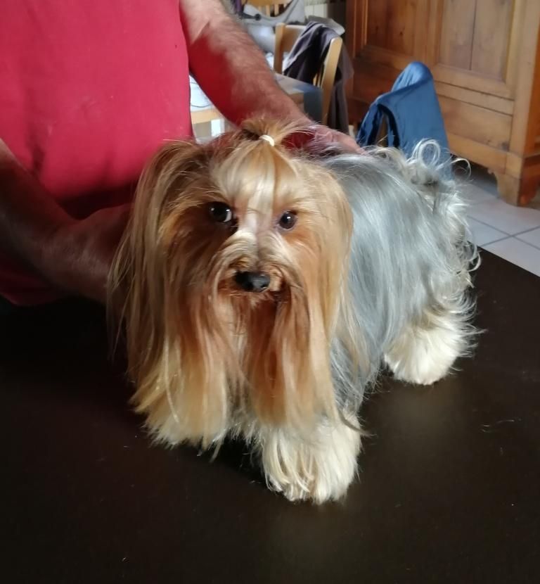 Scarlett du Petit Monterac